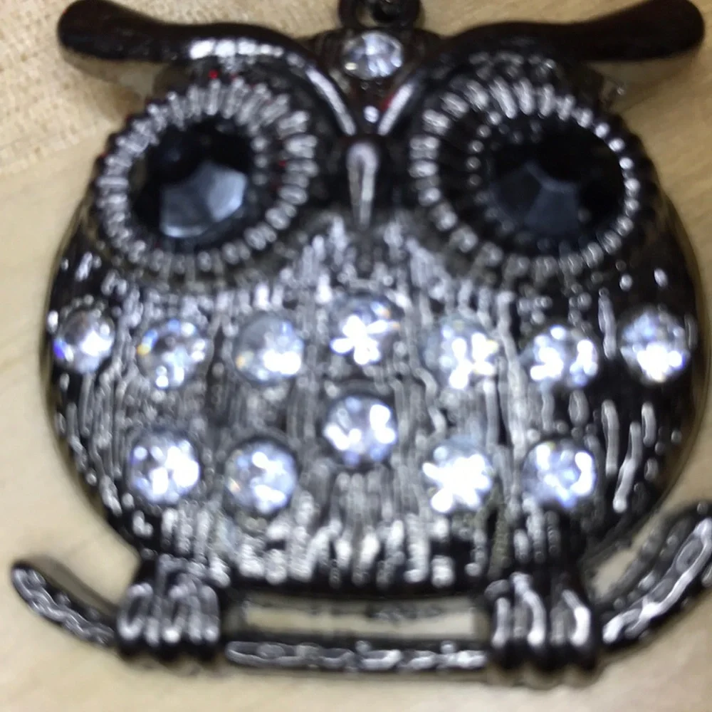 New crystal cz owl keychain great for teachers